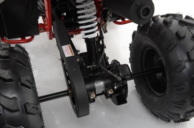 купить Квадроцикл MOTAX Grizlik A125 в Москве - фото 