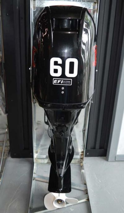 купить 4х-тактный лодочный мотор GOLFSTREAM F60FEL-T EFI в Москве - фото 