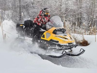 купить Снегоход СТЕЛС Viking S600 ST в Москве - фото 