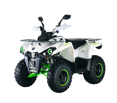 купить Квадроцикл MIKILON Hammer 200L Pro-R в Москве - фото 