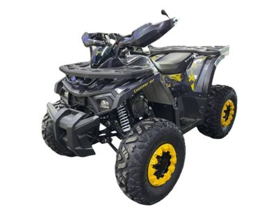 Квадроцикл TAO 125 X в Москве