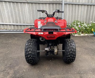 купить Квадроцикл GRIZZLY 300cc (2022) Б/У в Москве - фото 