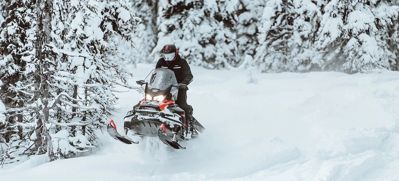 купить Снегоход BRP Ski-Doo Skandic SWT 900 ACE (2024) в Москве - фото 