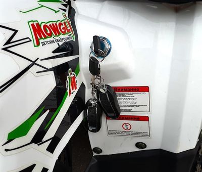 купить Квадроцикл MOWGLI Hardy 8+ в Москве - фото 