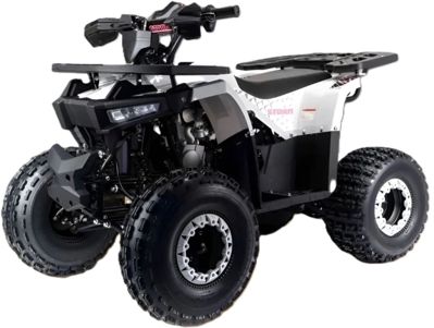 Квадроцикл MOTOLAND Storm A 125 в Москве