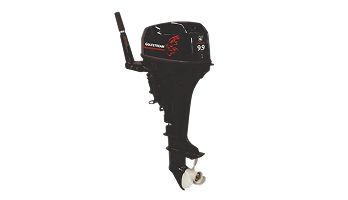 2х-тактный лодочный мотор GOLFSTREAM TE 9.9 BMS Enduro в Москве