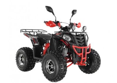 купить Квадроцикл WELS Thunder EVO LUX X 125 в Москве - фото 