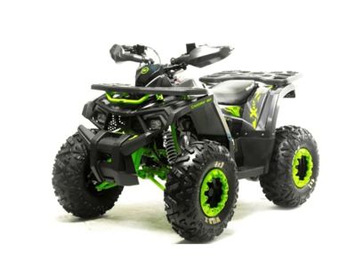 купить Квадроцикл MOTOLAND 125 Wild (2021 Г.) в Москве - фото 