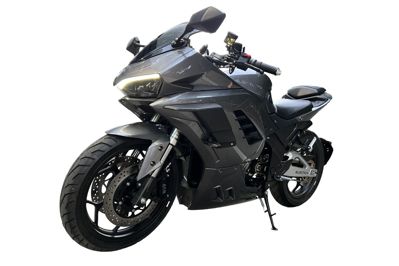 купить Электромотоцикл ELECTRON Panigale S (5 кВт) в Москве - фото 