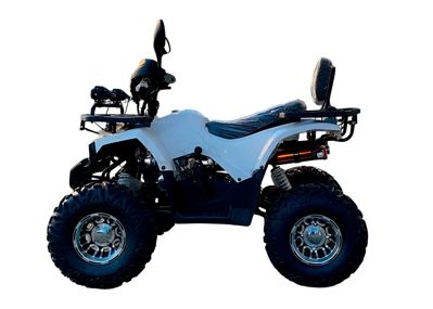 купить Квадроцикл HAMMER 170 MAX в Москве - фото 