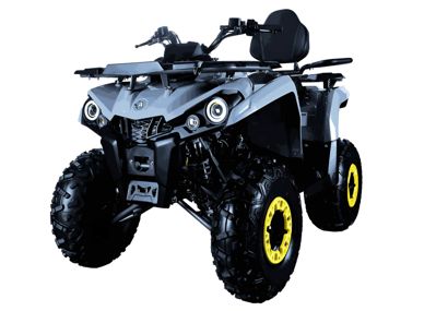 Квадроцикл AVANTIS Forester Long 200 Basic в Москве
