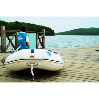 купить Лодка ПВХ STORMLINE Active 310 в Москве - фото 