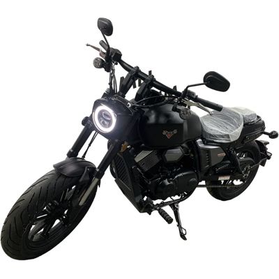 купить Мотоцикл REGULMOTO V BOB в Москве - фото 