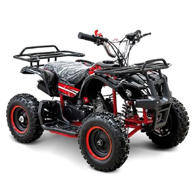 купить Квадроцикл MOTOLAND 50 Mini в Москве - фото 