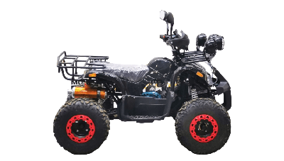 купить Квадроцикл BISON Kids 125 LD в Москве - фото 