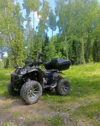 Квадроцикл GRIZZLY 250 Б/У в Москве