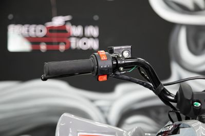 купить Квадроцикл SHARMAX Raizer Race Cup 250 в Москве - фото 