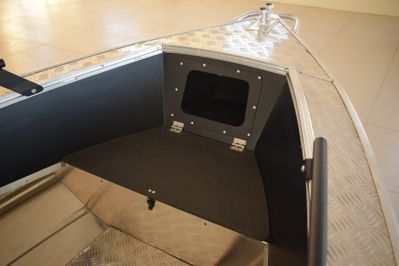 купить Алюминиевая лодка WELLBOAT-37 в Москве - фото 