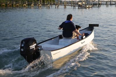 купить 4х-тактный лодочный мотор TOHATSU MFS 30 EPS в Москве - фото 