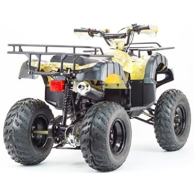 купить Квадроцикл STALKER 250 в Москве - фото 