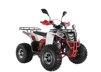 купить Квадроцикл WELS Thunder EVO LUX X 125 в Москве - фото 