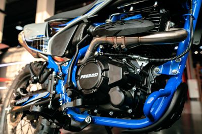 купить Мотоцикл кроссовый эндуро ПРОГАСИ Palma 300 в Москве - фото 