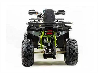 купить Квадроцикл MOTOLAND 200 Wild Track Pro в Москве - фото 