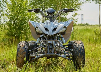 купить Квадроцикл SHARMAX Raizer Race Cup 250 в Москве - фото 