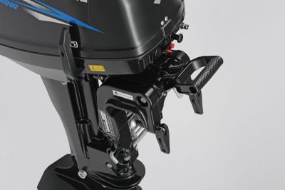 купить 2х-тактный лодочный мотор SUZUKI DT15AL в Москве - фото 