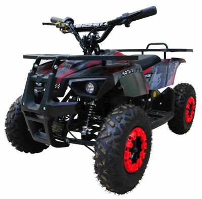 купить Электроквадроцикл MOTAX Grizlik X16 New E1000 в Москве - фото 
