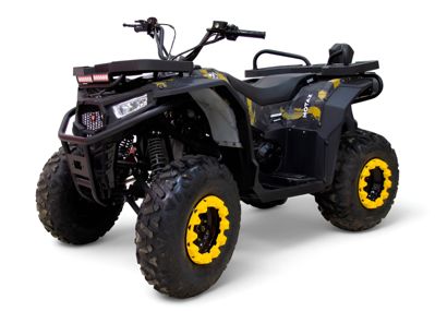 Квадроцикл MOTAX Grizlik W200 в Москве