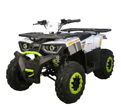 купить Квадроцикл AVANTIS H200 NEW (Баланс. вал) в Москве - фото 