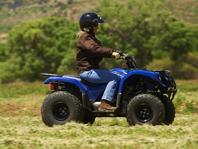 купить Квадроцикл GRIZZLY 125 в Москве - фото 