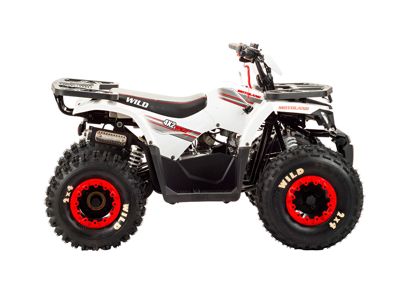 купить Квадроцикл MOTOLAND 125 Wild в Москве - фото 
