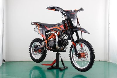 купить Мотоцикл RACER TRZ140E PITBIKE в Москве - фото 