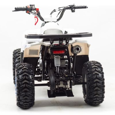 купить Квадроцикл MOTOLAND 110 Eagle (2021 Г.) в Москве - фото 