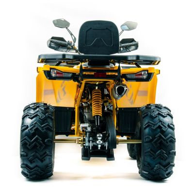 купить Квадроцикл MOTOLAND 200 Wild Track X Pro (Баланс. вал) (2021 Г.) в Москве - фото 