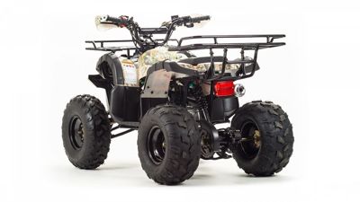 купить Квадроцикл MOTOLAND 125 Fox в Москве - фото 