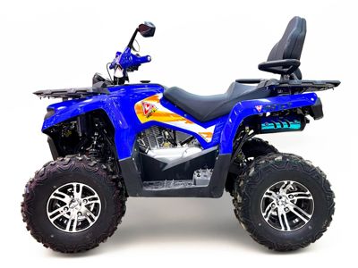 купить Квадроцикл MOTAX Grizlik 200 ULTRA BIG в Москве - фото 