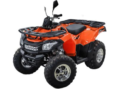 купить Квадроцикл MOTOLAND ATV 200 Max в Москве - фото 