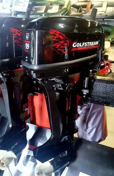 купить 2х-тактный лодочный мотор GOLFSTREAM TE 9.9 BMS Enduro Б/У в Москве - фото 