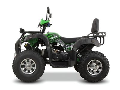 купить Квадроцикл GRIZZLY 200 Premium в Москве - фото 