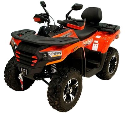 Квадроцикл TAO MOTOR Titan 300 Winch в Москве