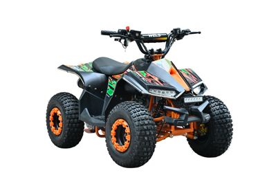 купить Квадроцикл WELS Tukah 110 в Москве - фото 