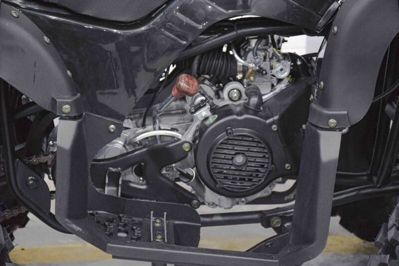 купить Квадроцикл GRIZZLY 200 в Москве - фото 