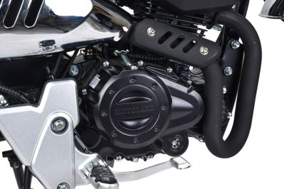 купить Мотоцикл MOTOLAND Monkey 150 PITBIKE в Москве - фото 