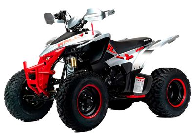 Квадроцикл MOTOLAND RALLY 250 в Москве