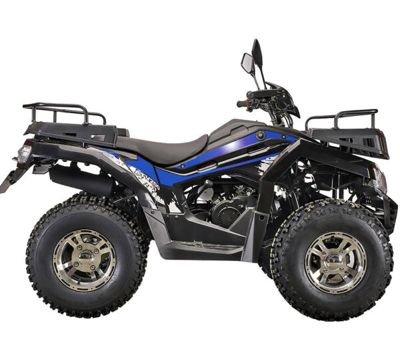 купить Квадроцикл RATO 200 Classic F в Москве - фото 