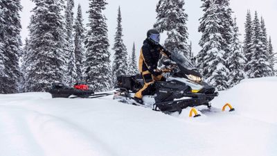 купить Снегоход BRP Ski-Doo Skandic LE 20″ 900 Ace (2023) в Москве - фото 