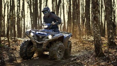 купить Квадроцикл YAMAHA Grizzly 700 EPS STD (ПСМ) в Москве - фото 
